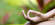 Ruidoso Afternoon Meditation &amp; Yoga by donation